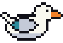 White duck